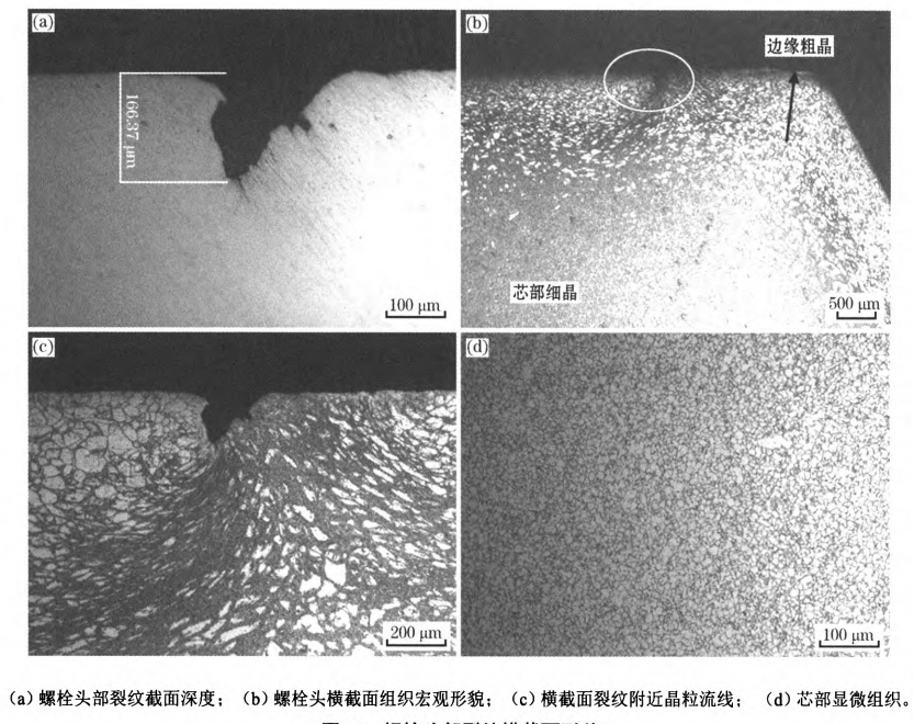 澳门单双中特