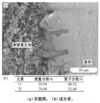 澳门单双中特